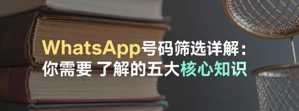 WhatsApp号码筛选详解：你需要了解的五大核心知识.png