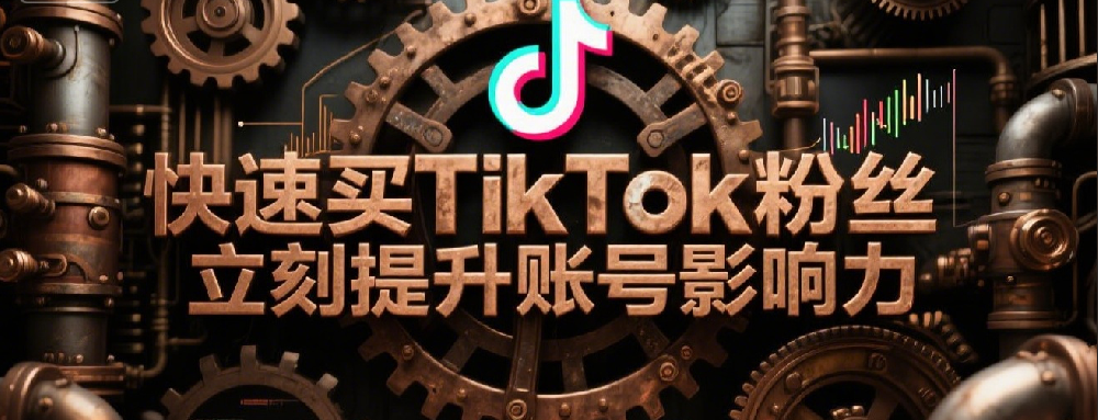 快速买TikTok粉丝，立刻提升账号影响力.png