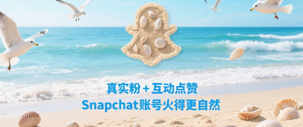 真实粉+互动点赞，Snapchat账号火得更自然.png