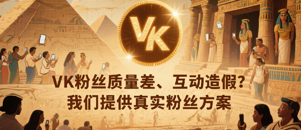 VK粉丝质量差、互动造假？我们提供真实粉丝方案.png